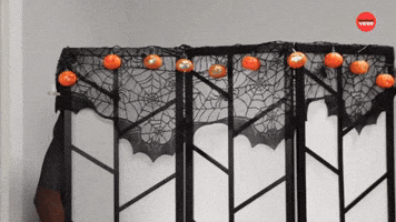 This Is How Your Only Fans Career Starts