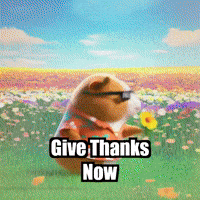 Wisdom Enlightenment GIF by Guinea Gambino