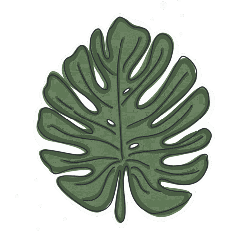 Plants Monstera Sticker by Samantha At TwentyFirstCo
