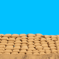 Bau Stop Talking GIF