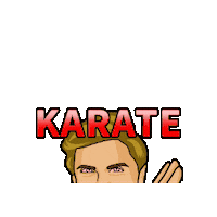 stanleymc karate josh stanley Sticker