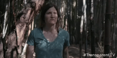 GIF by Transparent