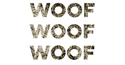 Pet Sticker