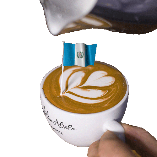 Coffee Time Guatemala Sticker by Dritan Alsela Coffee