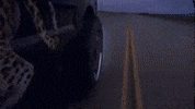 Driving Travis Scott GIF by Respective