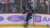 Happy Colorado Avalanche GIF by NHL