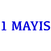 1May Isci Sticker by Miyase