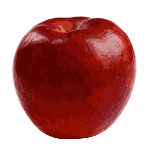 Food Drink Apple GIF