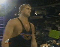 wwe smile GIF