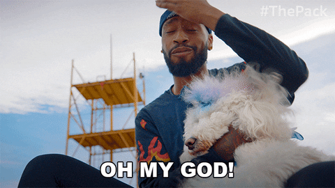 The Pack Dogs GIF by Amazon Prime Video