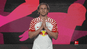 Rb Leipzig Thank You GIF by Bundesliga