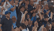 Excited Blue Jays GIF by Toronto Blue Jays