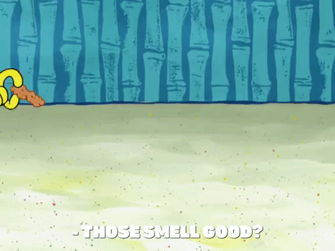 season 8 episode 22 GIF by SpongeBob SquarePants