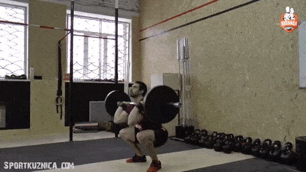 bodybuilding-and-fitness giphyupload GIF