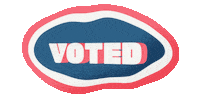Red White Blue Vote Sticker