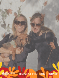harvestfestny GIF by Meatpacking District