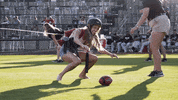 Football Fail GIF by Fort Wayne TinCaps