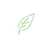 Plant Leaf Sticker