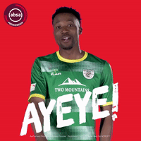 south african soccer GIF