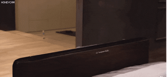 giphyupload GIF