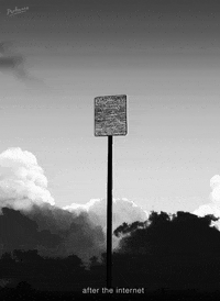 art cats GIF by PEEKASSO