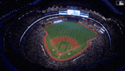 Canadian Baseball GIF by Toronto Blue Jays