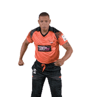 sunriserseasterncape cricket sec sunrisers sa20 Sticker