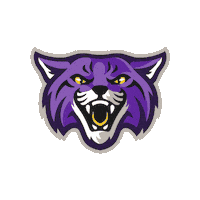 Wildcats Bu Sticker by Bethel University
