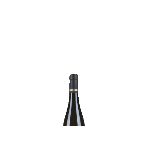 Grillenparz1452 giphygifmaker wine winetime winelover Sticker