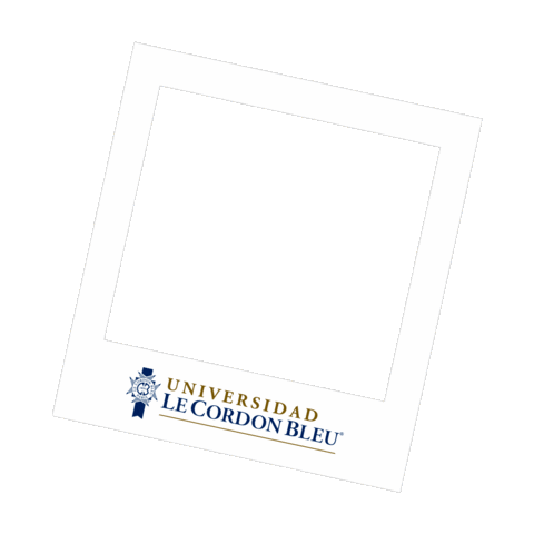 UCordonBleu giphyupload frame polaroid marco Sticker