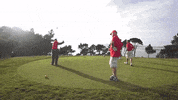 Palibex golf deporte transporte pale GIF