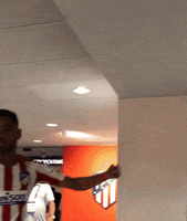 Celebrate 19 20 GIF by Atlético de Madrid