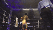 Long Beach Knockout GIF by H2O Promotion