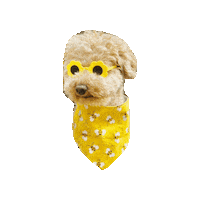 Boba Yellow Dog Sticker by Geekster Pets
