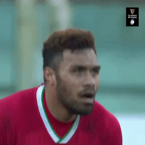 Come On Rugby GIF by Guinness Six Nations