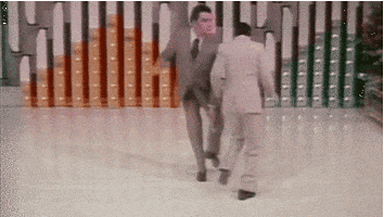 don francisco GIF