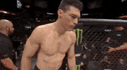 ufc sports sport ufc mma GIF