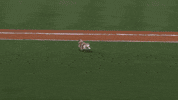 Major League Baseball Sport GIF by MLB