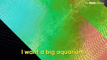 I Want A Big Aquarium