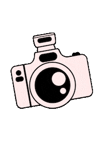 dreaminginteriors photography camera flash photos Sticker