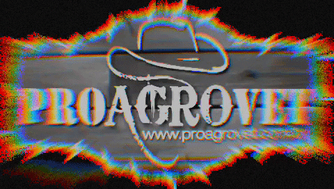 proagrovetwestern giphyupload country rodeo cavalo GIF