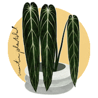 Queen Houseplant Sticker