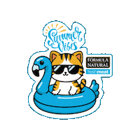 Pets Dogfood Sticker by Pet Nutri