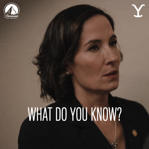 GIF by Yellowstone