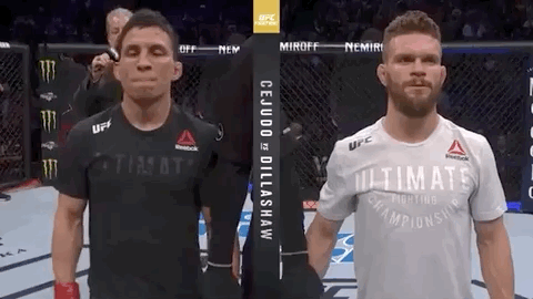 ufc fight night sport GIF by UFC