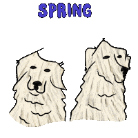 Big Dog Sticker