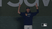 Celebrate Regular Season GIF by MLB
