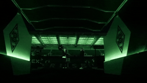Borussia Park Football GIF by Jan Metternich