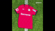 Soccer Love GIF by Bayer 04 Leverkusen
