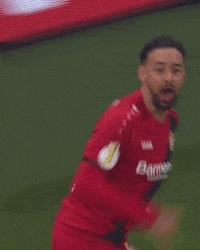 werkself GIF by Bayer 04 Leverkusen